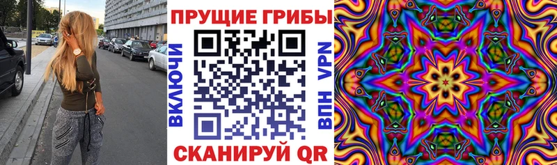 Галлюциногенные грибы Psilocybine cubensis  как найти наркотики  Артём 